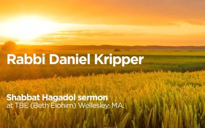 Shabbat Hagadol sermon at TBE (Beth Elohim) Wellesley, MA.